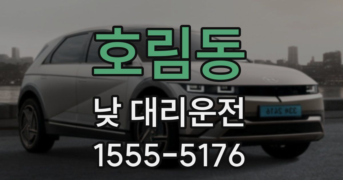 호림동 낮 대리운전