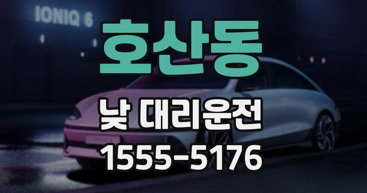호산동 낮 대리운전
