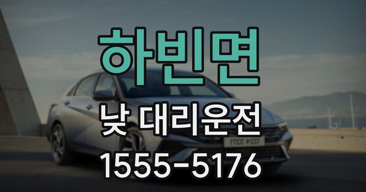 하빈면 낮 대리운전