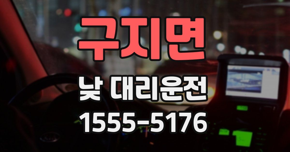구지면 낮 대리운전