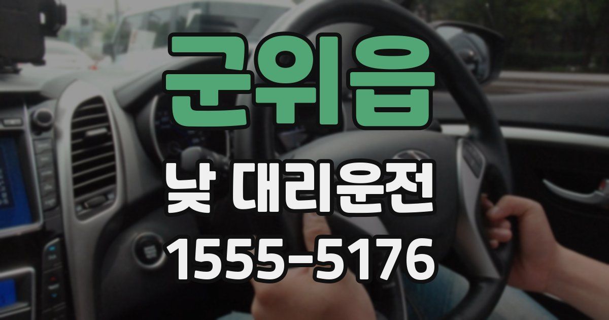 군위읍 낮 대리운전