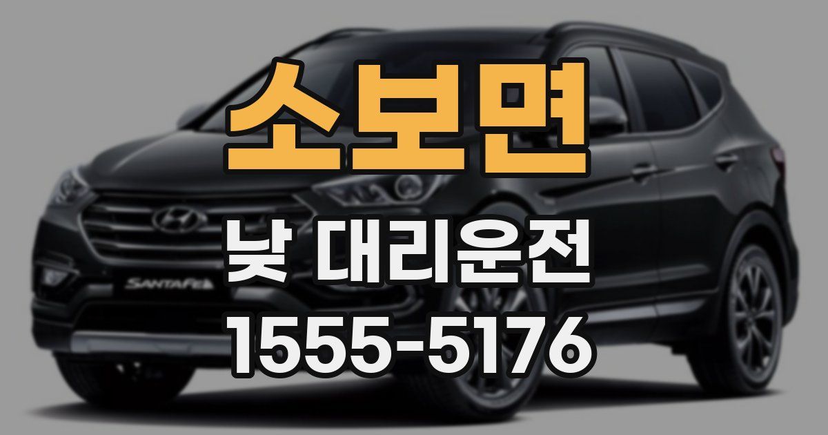 소보면 낮 대리운전