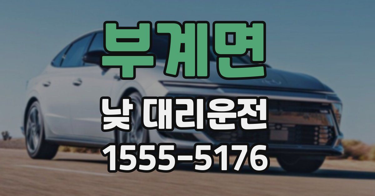 부계면 낮 대리운전
