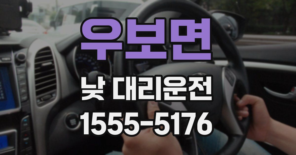 우보면 낮 대리운전