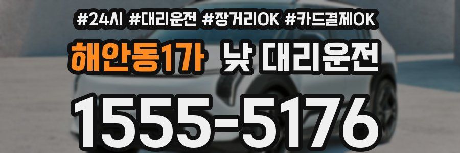 해안동1가 낮 대리운전