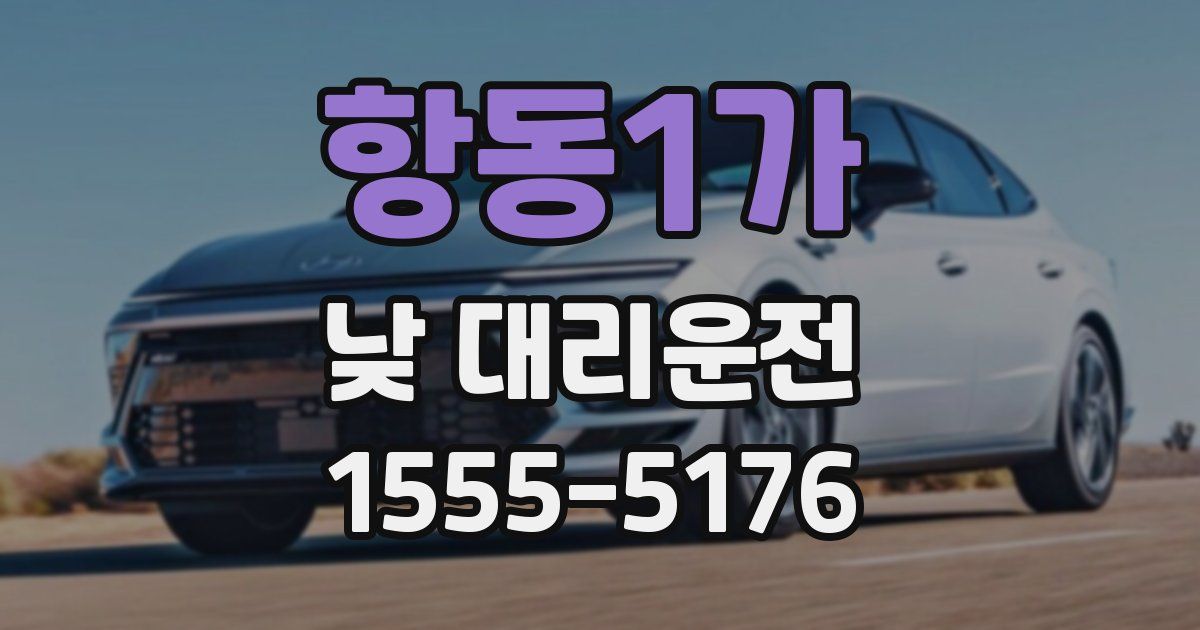 항동1가 낮 대리운전