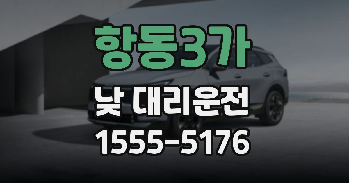 항동3가 낮 대리운전
