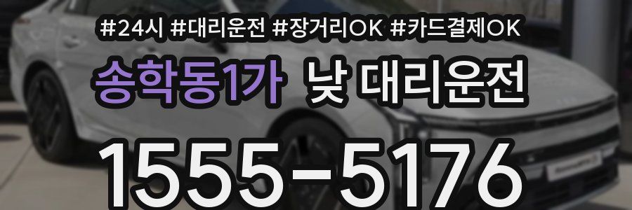 송학동1가 낮 대리운전