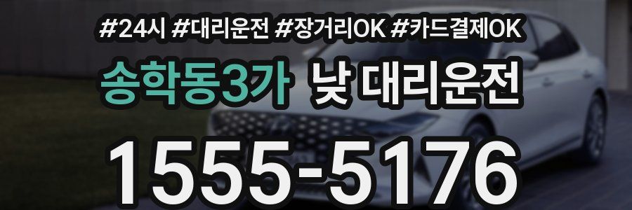 송학동3가 낮 대리운전