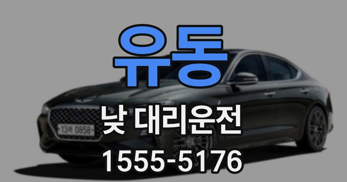 유동 낮 대리운전