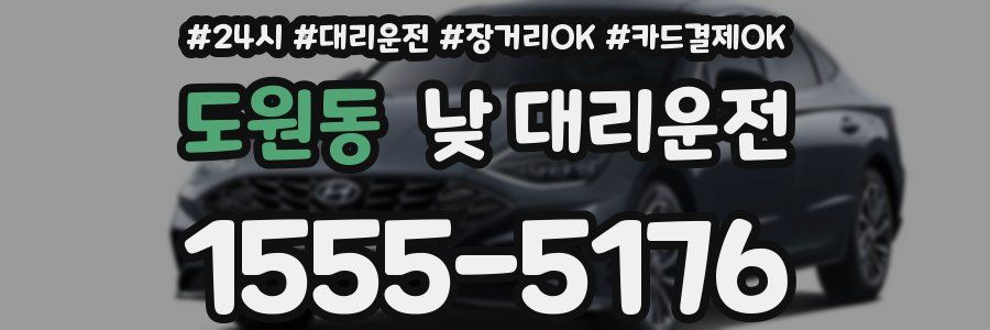 도원동 낮 대리운전