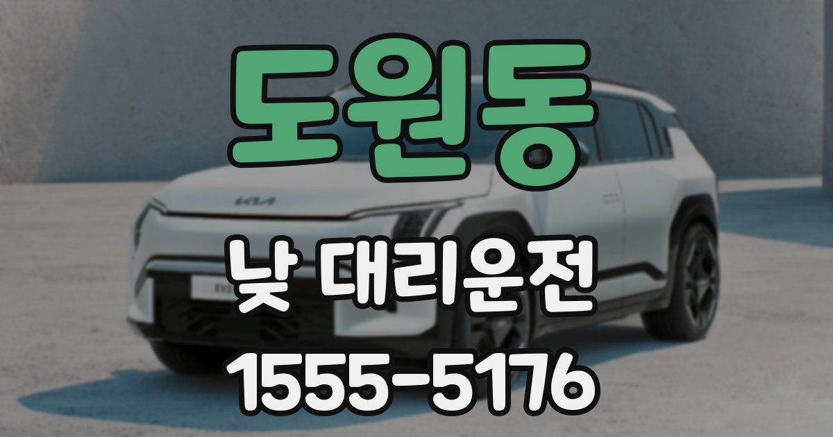 도원동 낮 대리운전