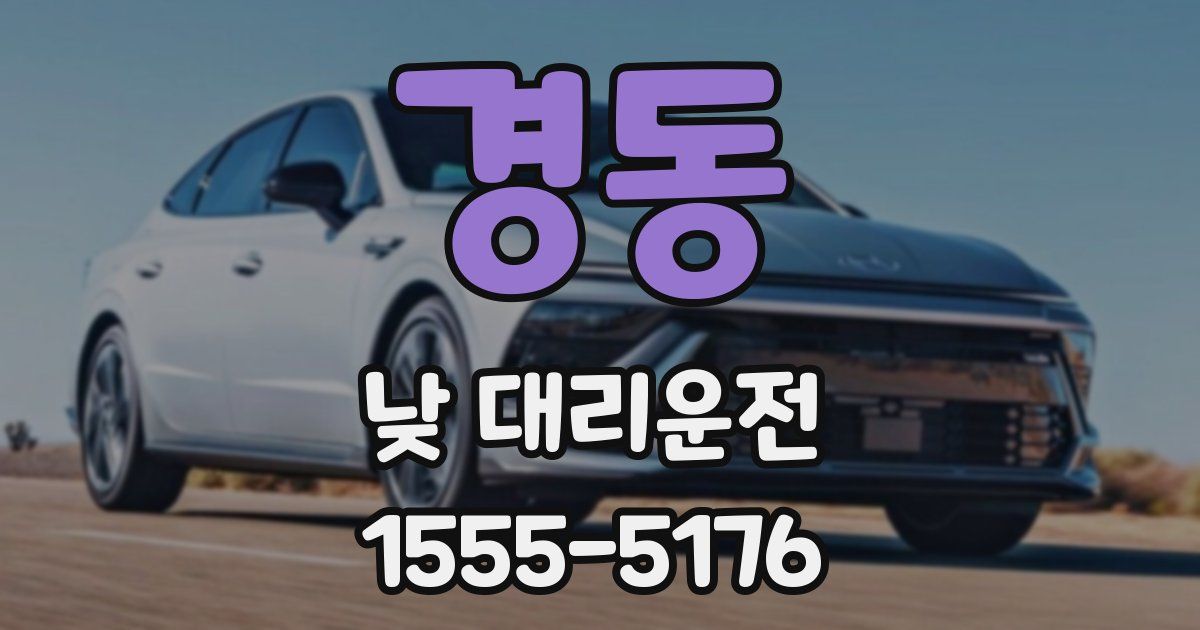 경동 낮 대리운전