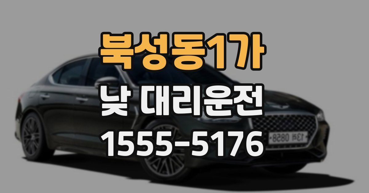 북성동1가 낮 대리운전