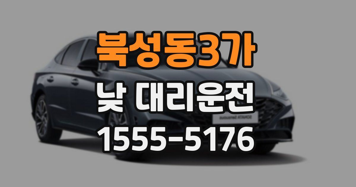북성동3가 낮 대리운전