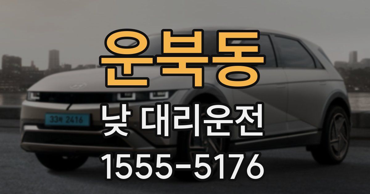 운북동 낮 대리운전