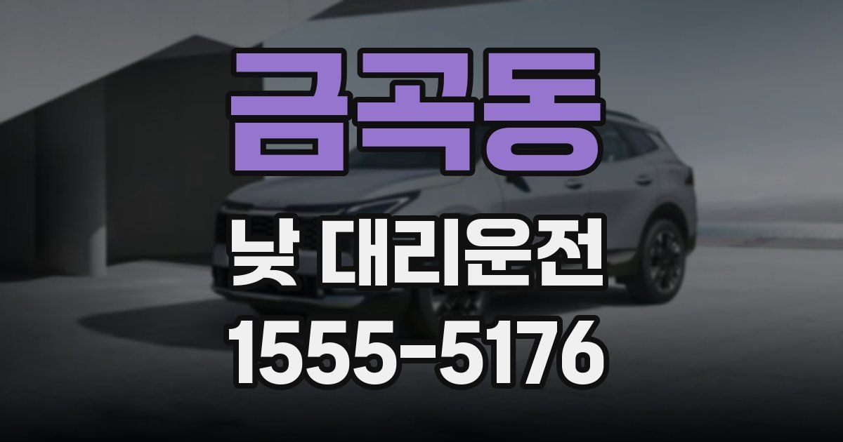 금곡동 낮 대리운전