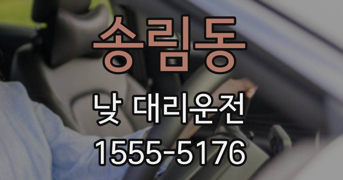 송림동 낮 대리운전