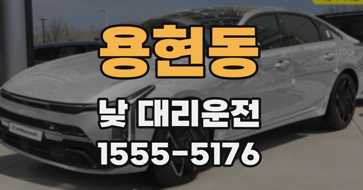 용현동 낮 대리운전