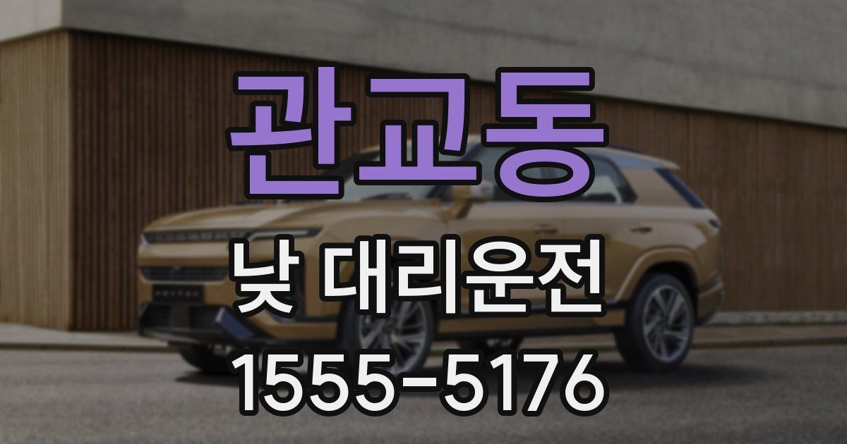 관교동 낮 대리운전