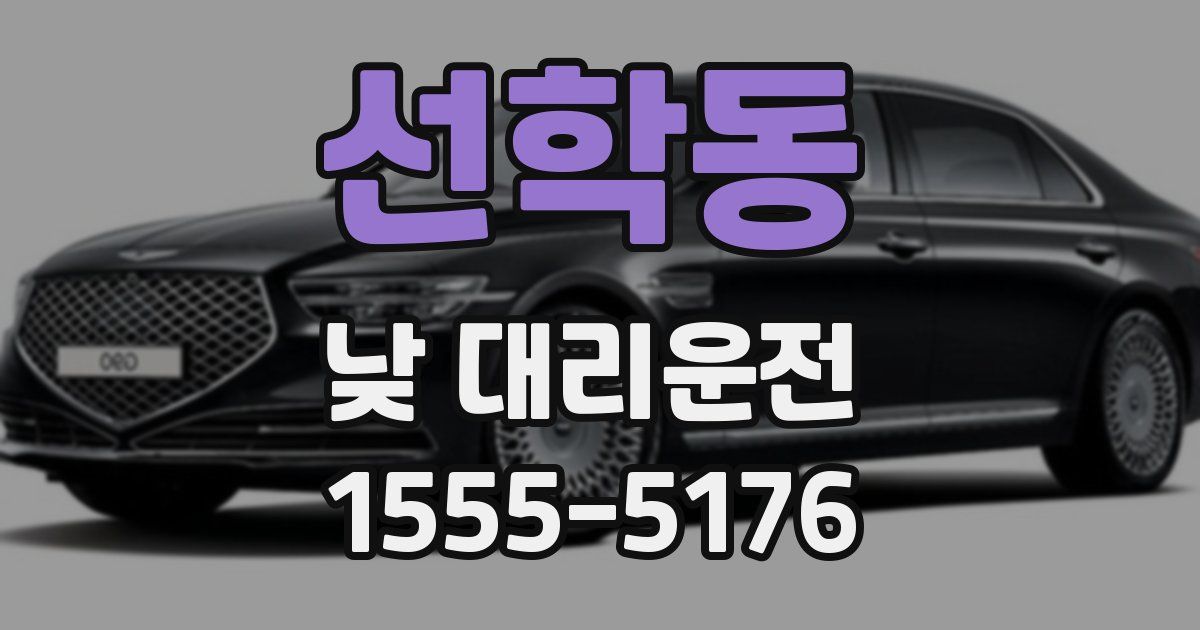 선학동 낮 대리운전