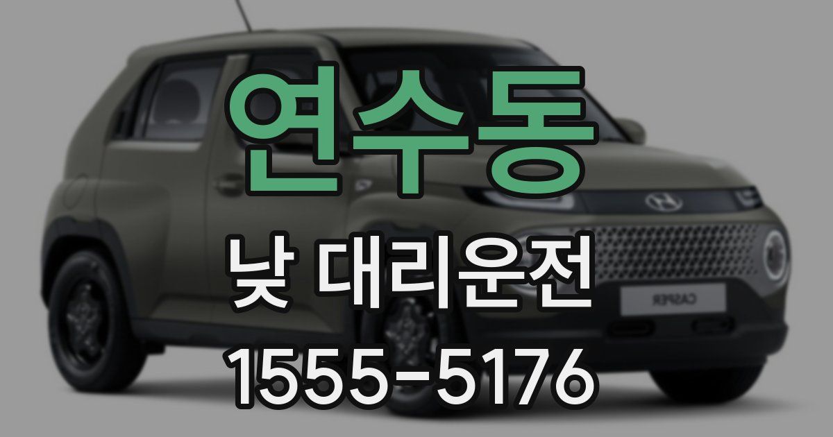 연수동 낮 대리운전