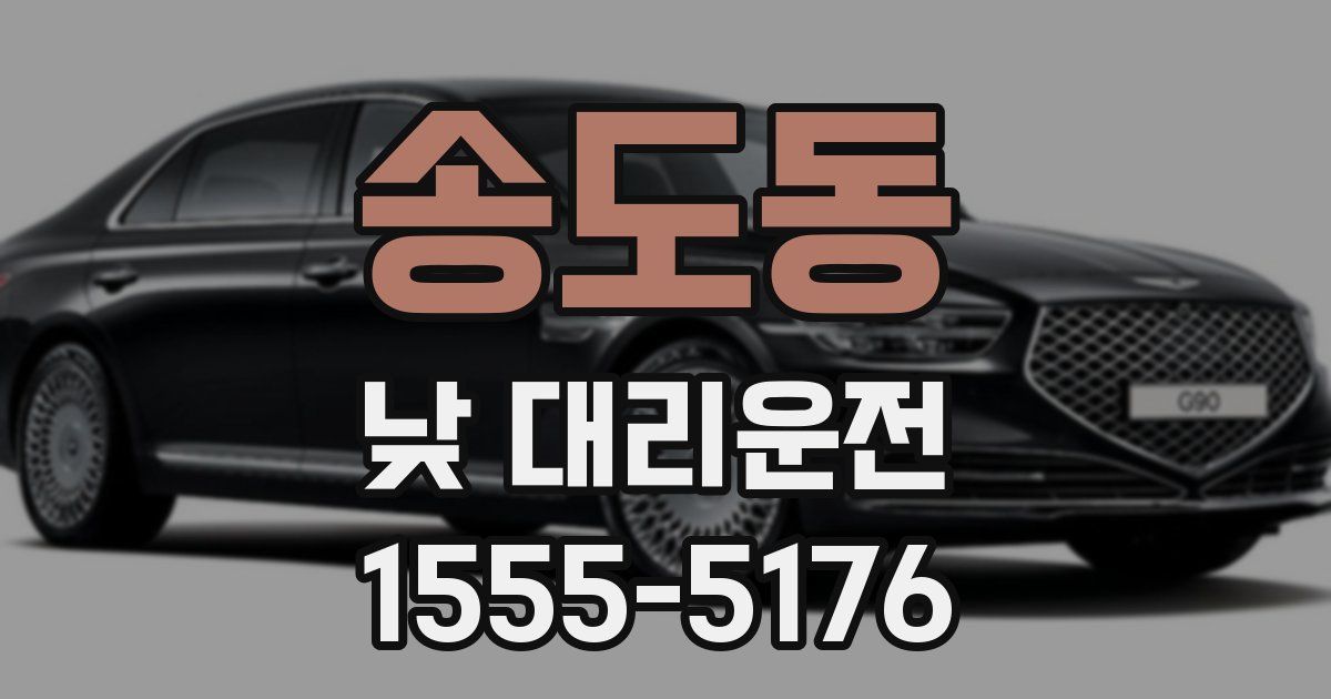 송도동 낮 대리운전