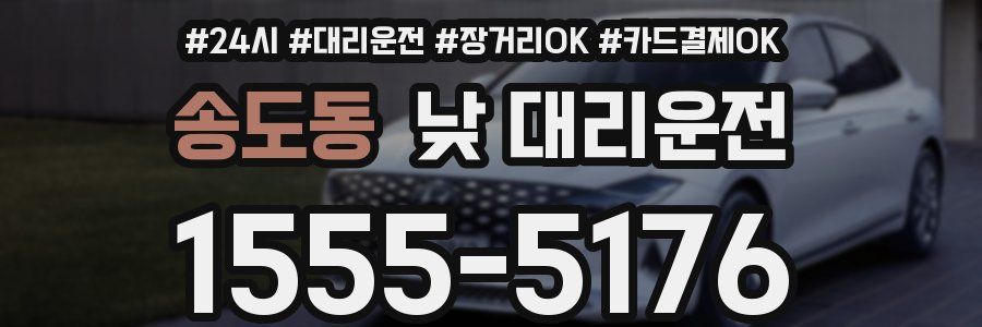 송도동 낮 대리운전