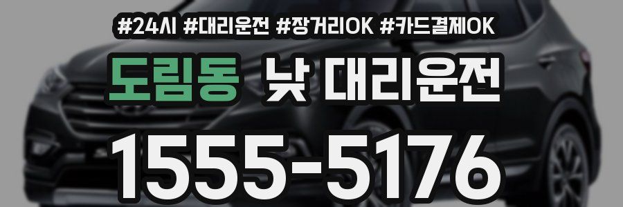 도림동 낮 대리운전