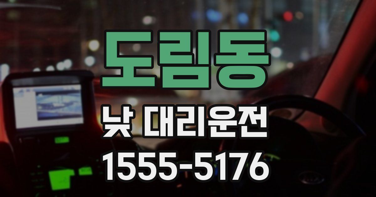 도림동 낮 대리운전