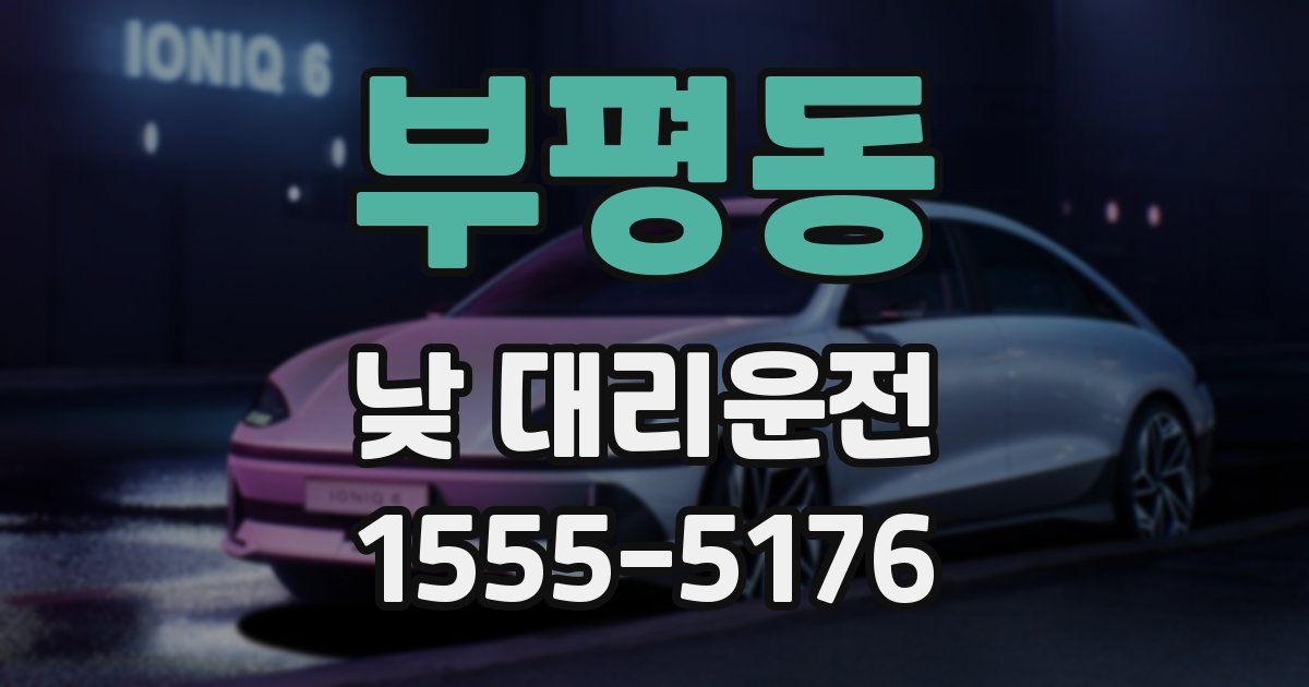 부평동 낮 대리운전