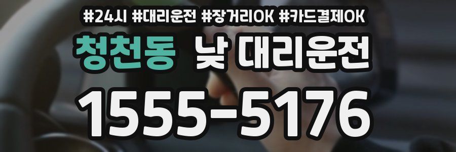 청천동 낮 대리운전