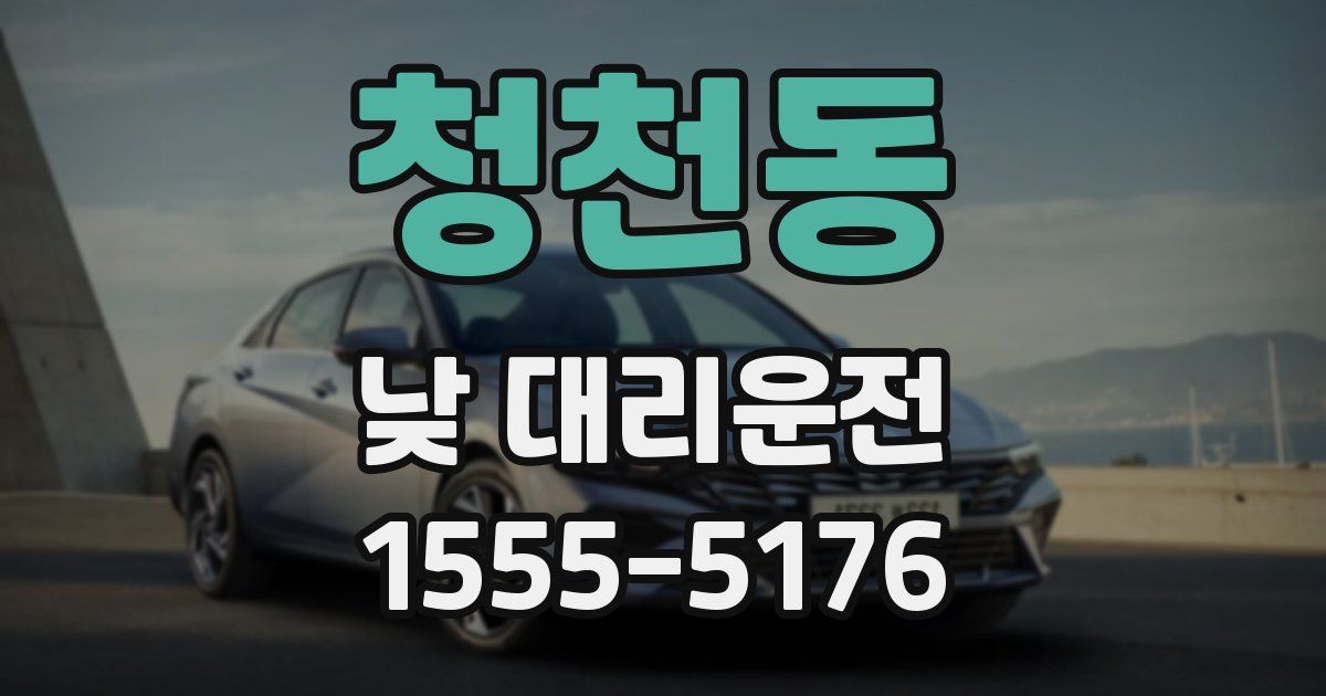 청천동 낮 대리운전