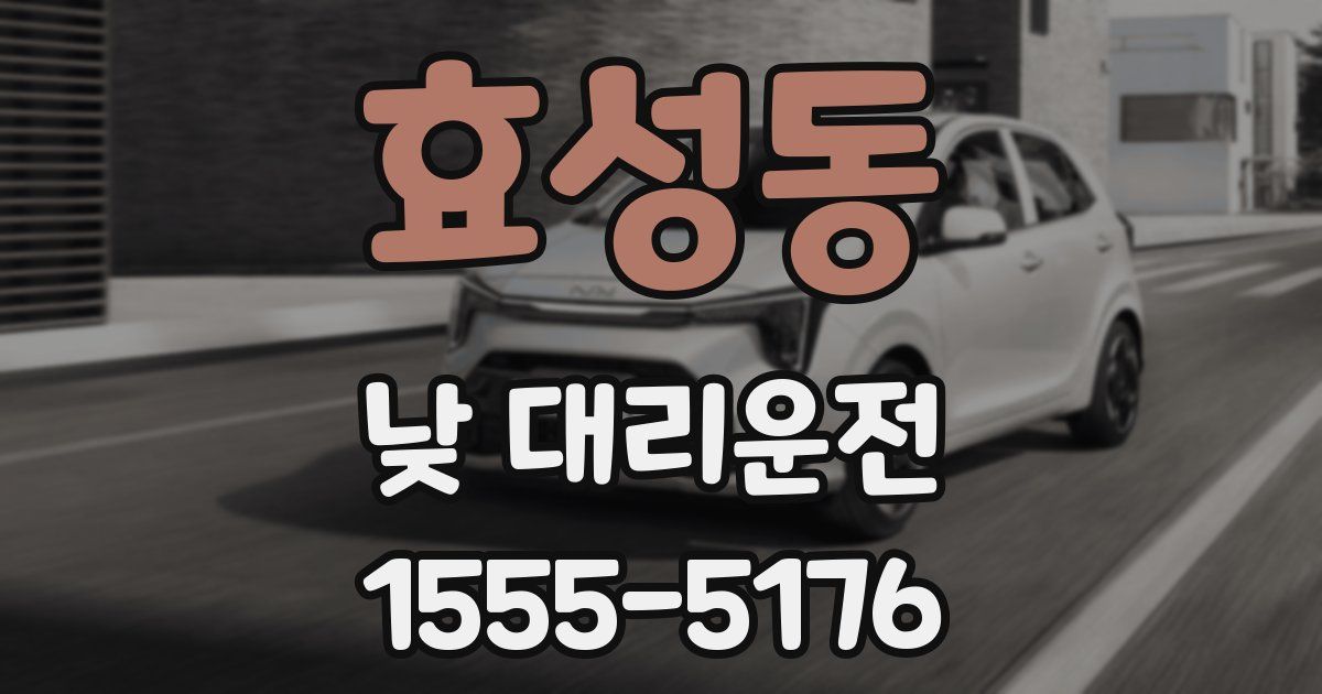 효성동 낮 대리운전
