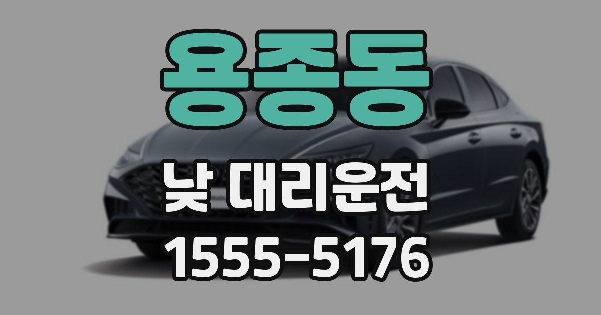 용종동 낮 대리운전