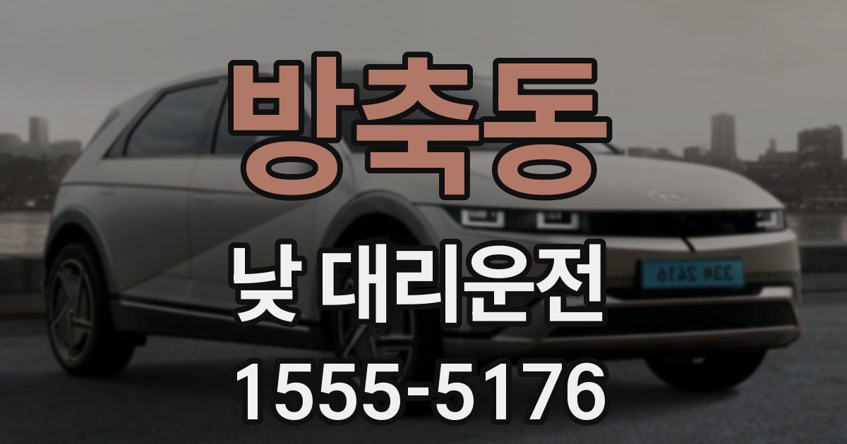 방축동 낮 대리운전