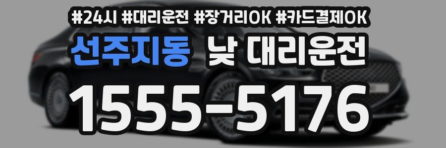 선주지동 낮 대리운전