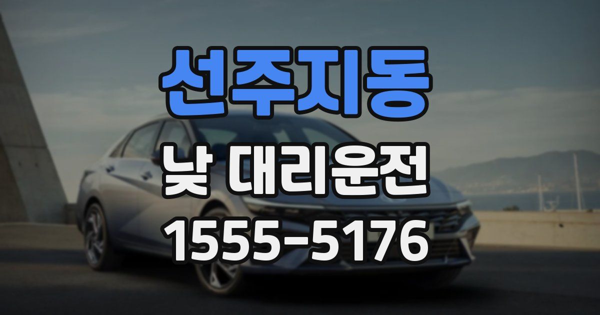 선주지동 낮 대리운전