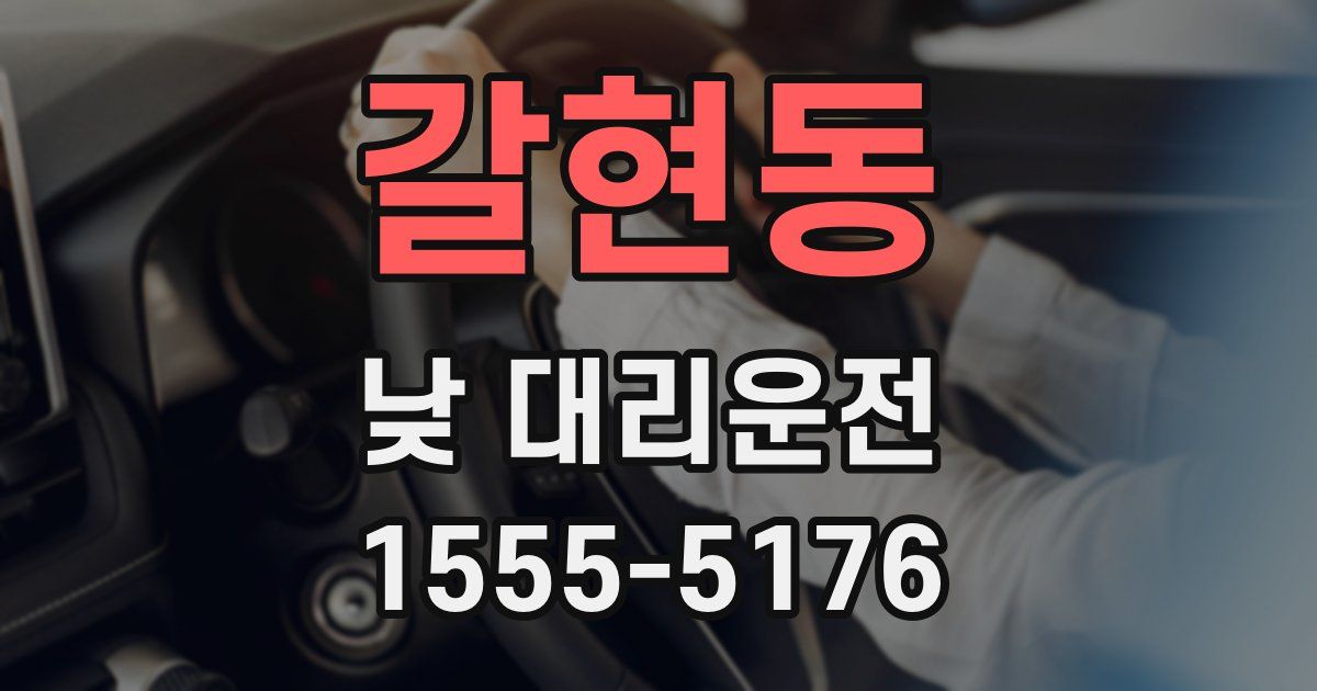갈현동 낮 대리운전