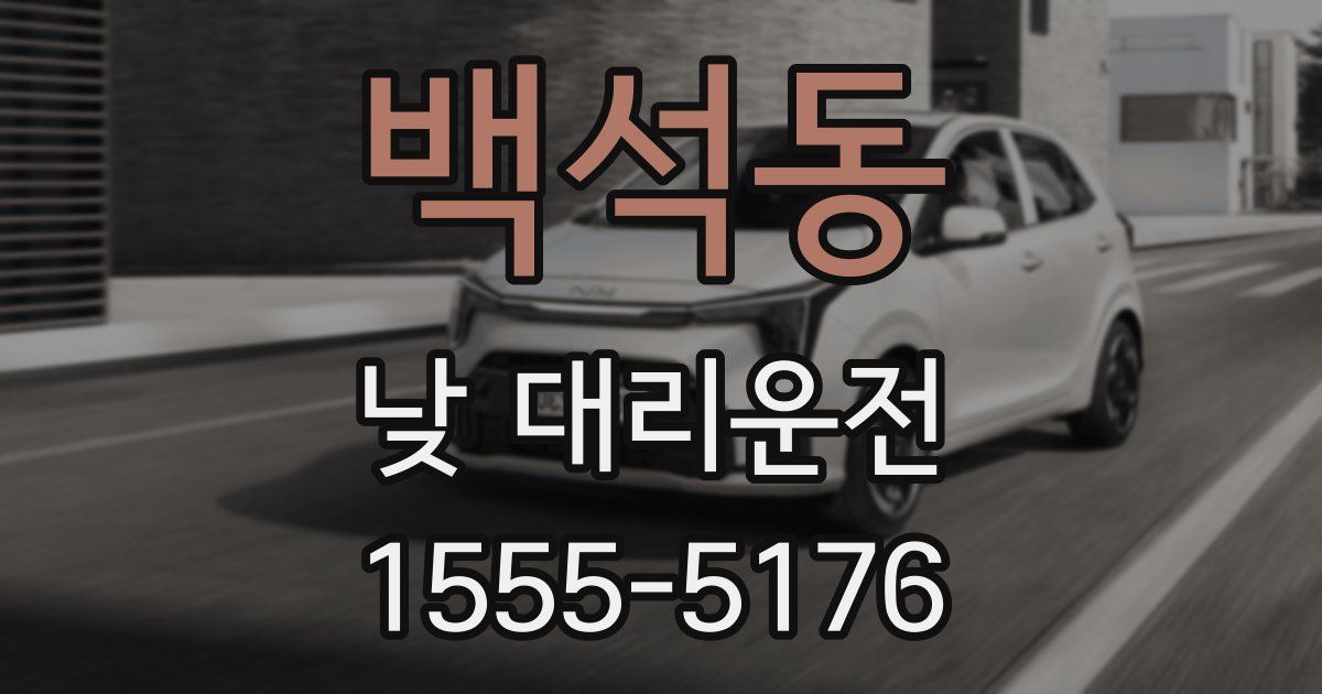 백석동 낮 대리운전