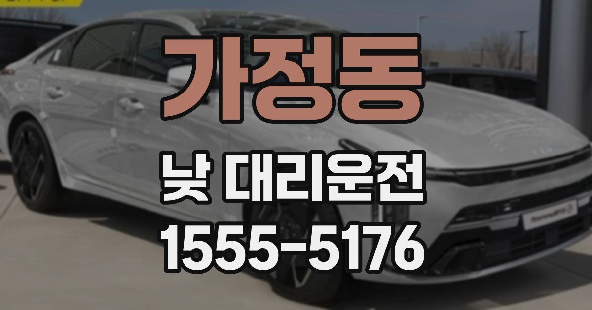 가정동 낮 대리운전