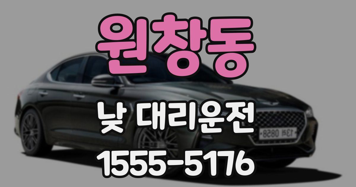 원창동 낮 대리운전