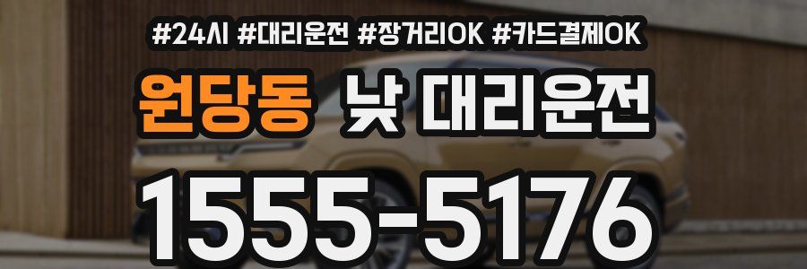 원당동 낮 대리운전
