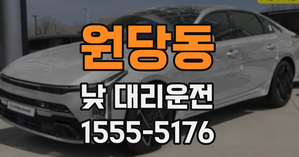 원당동 낮 대리운전