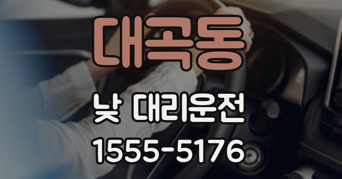 대곡동 낮 대리운전