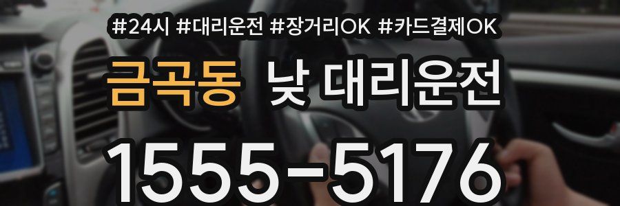 금곡동 낮 대리운전