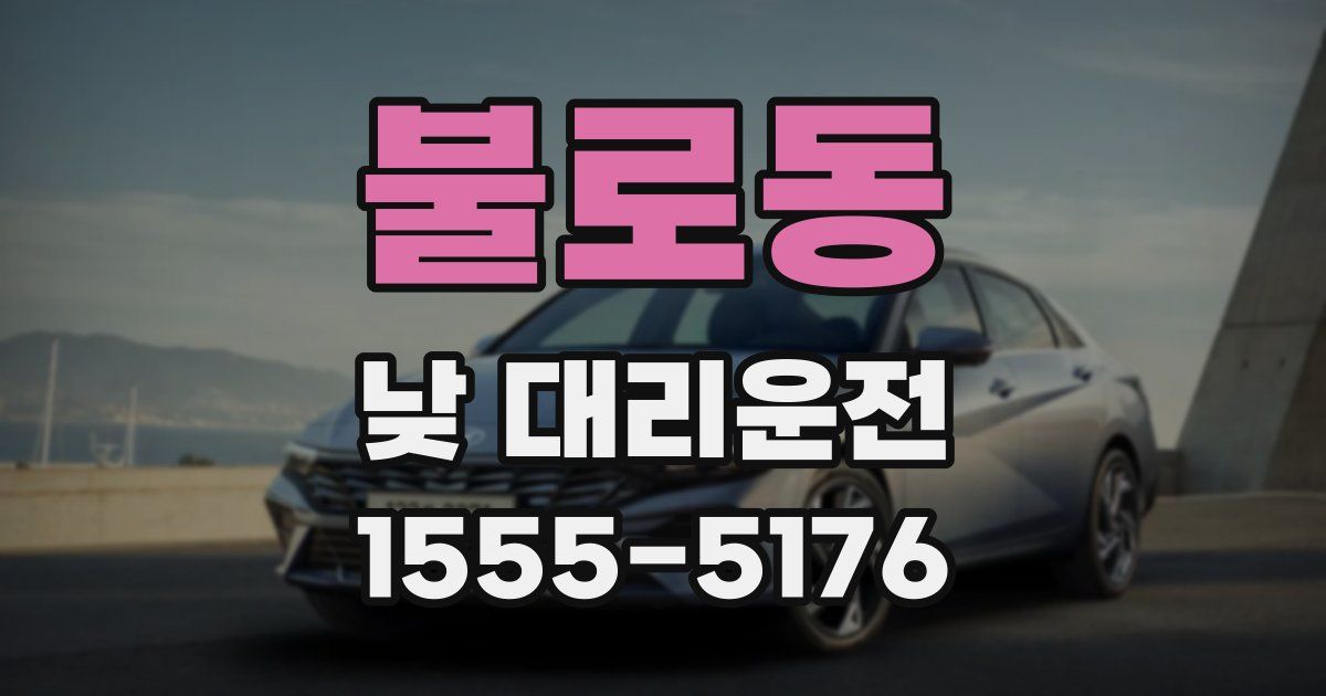 불로동 낮 대리운전