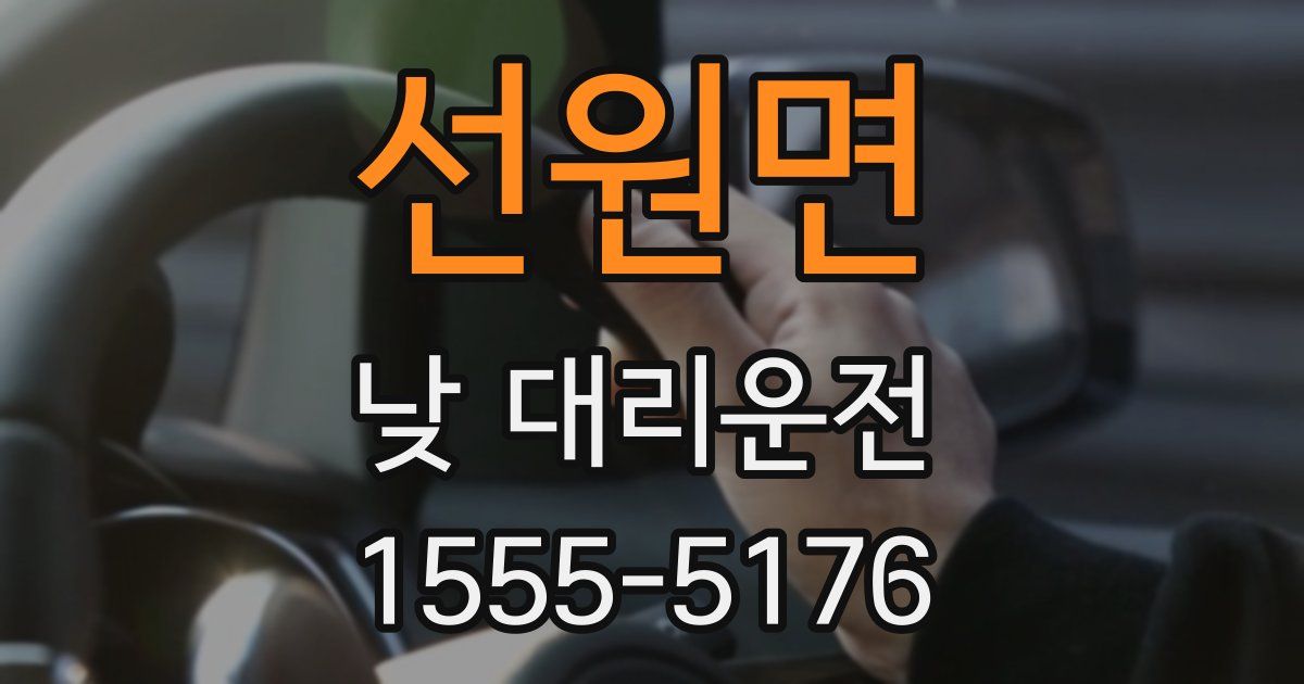 선원면 낮 대리운전