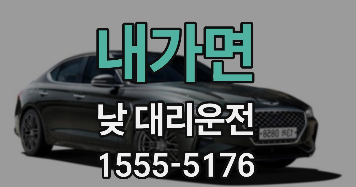 내가면 낮 대리운전