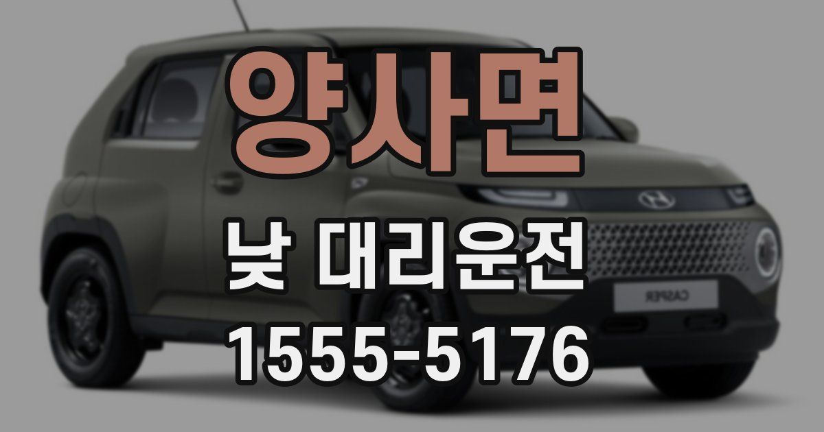 양사면 낮 대리운전